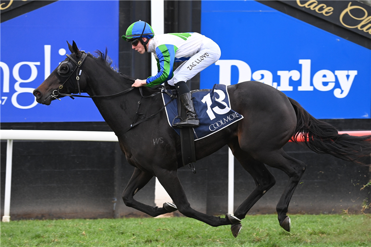 FALL FOR CINDY winning the COOLMORE DARK JEWEL CLASSIC [GROUP 3] at Scone in Australia.