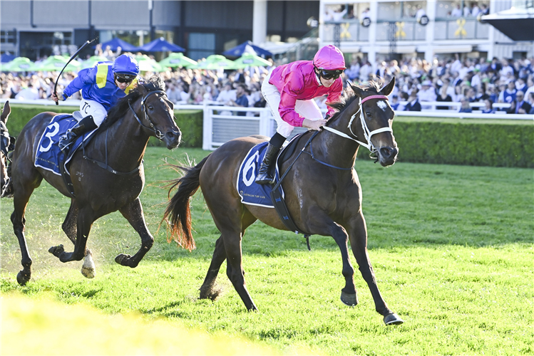 FANGIRL winning the 7+ Sport Stakes at Randwick in Australia.