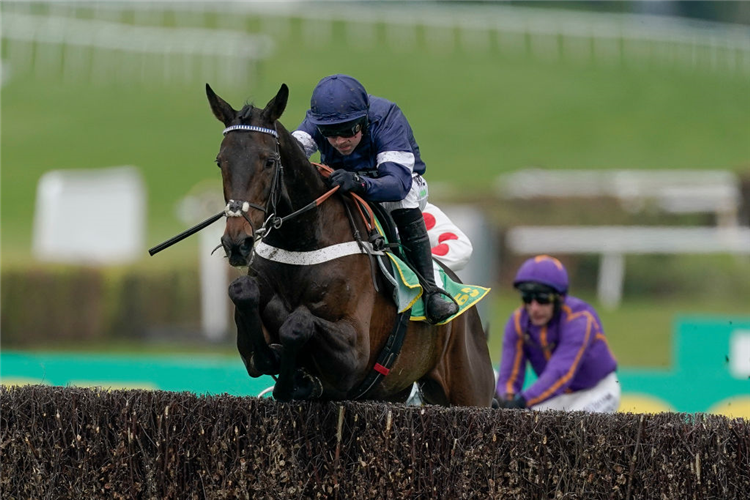 FANTASTIC LADY winning the Oaksey Chase at Sandown Park in Esher, England.