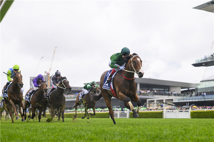 FAR TOO EASY winning the THE KOSCIUSZKO at Randwick in Australia.