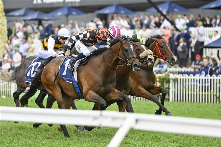 FAWKNER PARK winning the Rosehill Gold Cup at Rosehill in Australia.