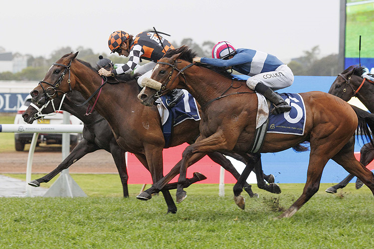 FAWKNER PARK winning the ROSEHILL GOLD CUP