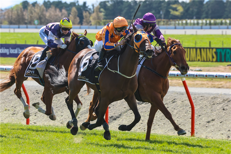 FELLINI winning the MCCREA PAINTERS DECORATORS ASHBURTON CUP