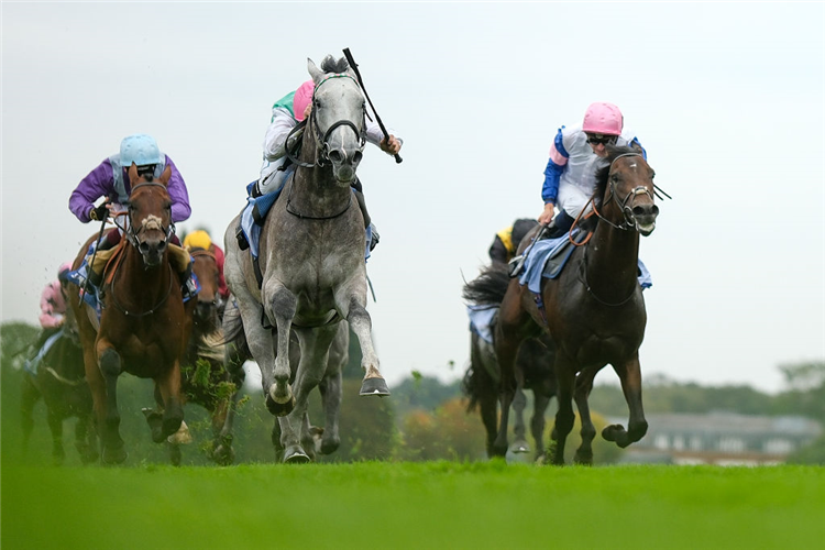 FIELD OF GOLD (centre, pink cap, grey horse) winning the Solario Stakes at Sandown in Esher, England.