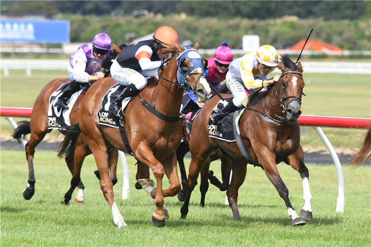 FIELD OF GOLD winning the JR N BERKETT