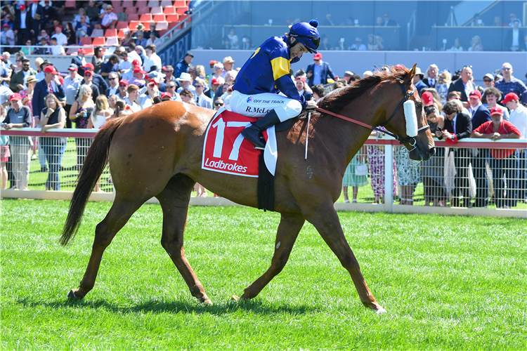 FIRE WHEEL winning the Marcus Oldham College BM64 Handicap at Geelong in Australia.