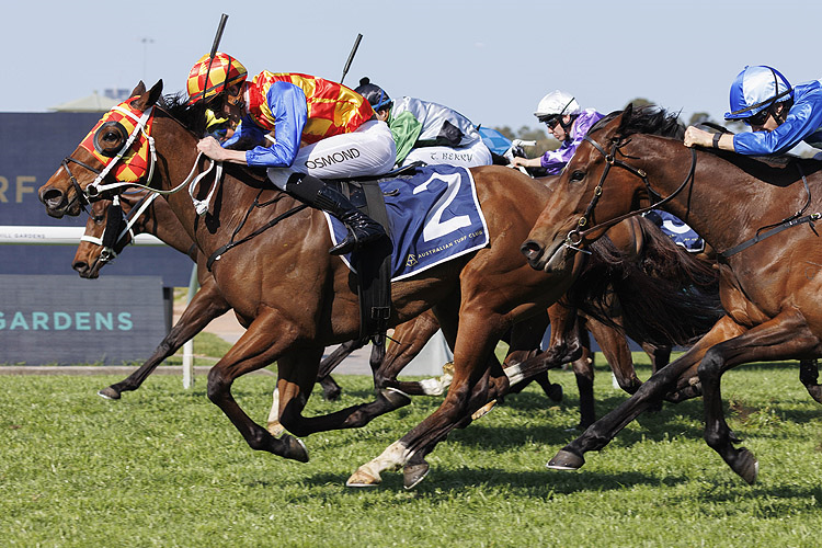 FIRESTORM winning the NSW THOROUGHBRED BREEDERS HANDICAP