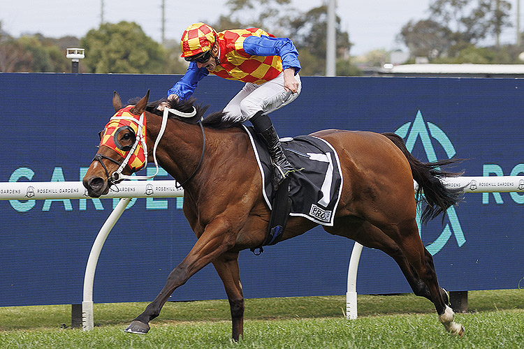 FIRESTORM winning the EGROUP PROTECTIVE SERVICES HANDICAP