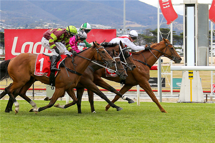 FIRST ACCUSED winning the Kevin Sharkie Tasmanian Stakes