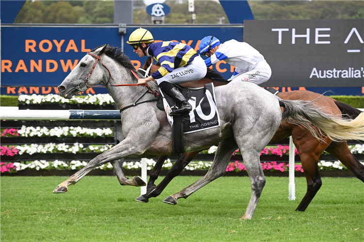 FLOATING winning the THE AGENCY REAL ESTATE HANDICAP at Randwick in Australia.
