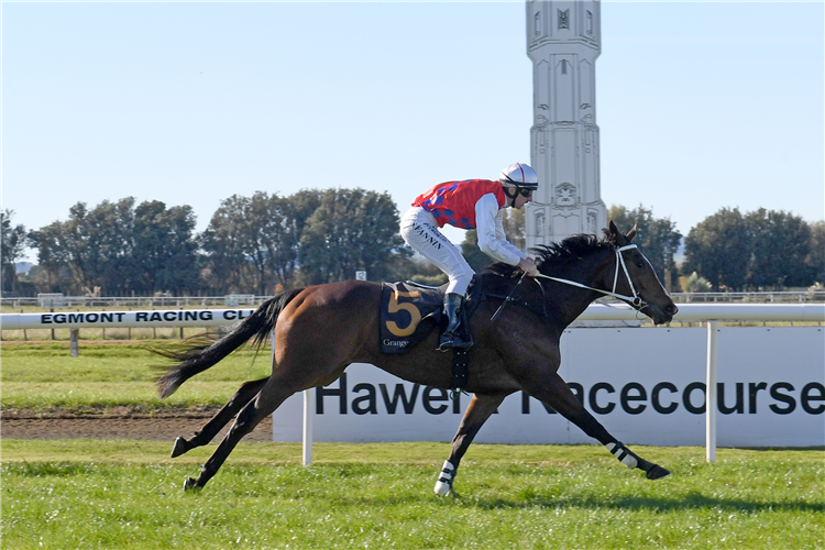 FOURTY EIGHT winning the HOLDEM CONTRACTING LEGEND HAWERA RIDERS MAIDEN HURDLE