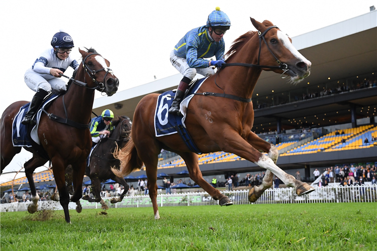 FRANZ JOSEF winning the Racing For Good On July 13 Handicap at Rosehill in Australia.