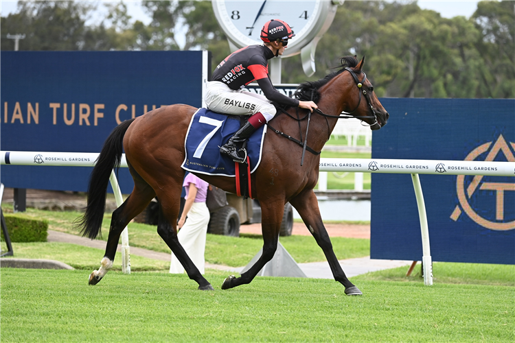 FULLY LIT winning the Ned Australian Whisky Handicap at Rosehill in Australia.