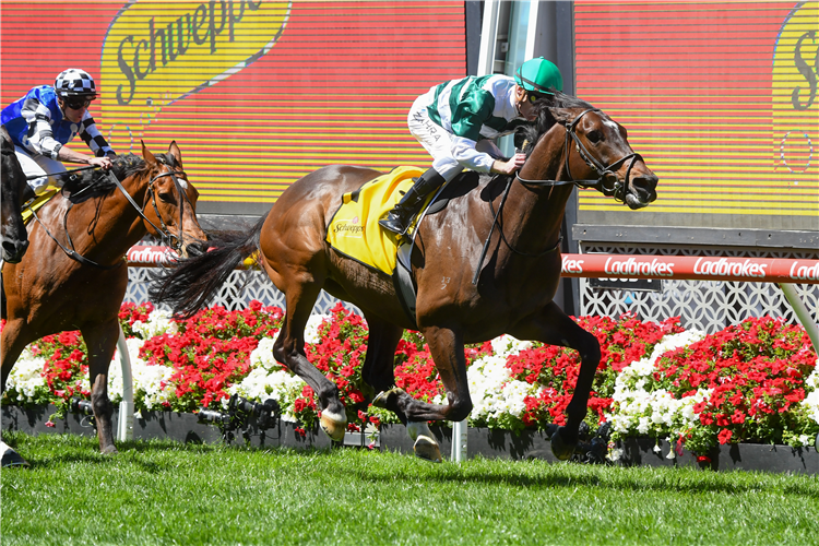 FUTURE HISTORY winning the JRA Cup at Moonee Valley in Australia.