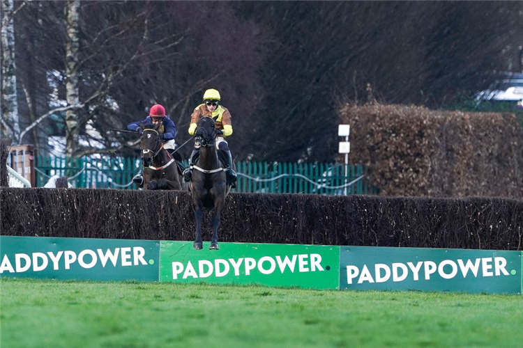 GALOPIN DES CHAMPS winning the Irish Gold Cup Chase at Leopardstown in Dublin, Ireland.