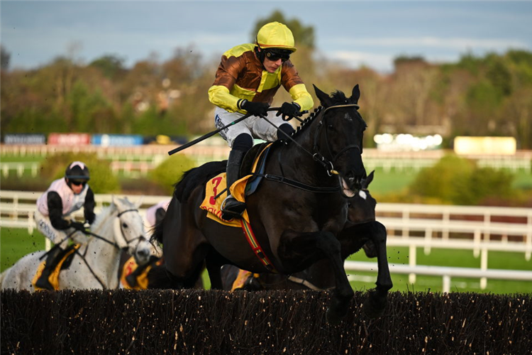 GALOPIN DES CHAMPS winning the Savills Chase at Leopardstown in Dublin.