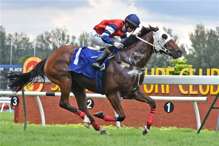 GAMESTONKS winning the Aug 24 2024 Selangor Meeting Race 5 (810)