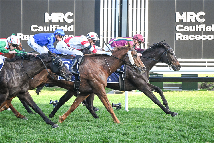 GENTLEMAN ROY winning the P.B. Lawrence Stakes at Caulfield in Australia.