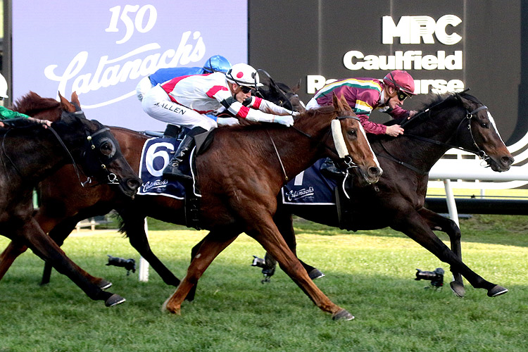 GENTLEMAN ROY winning the Catanach?s Jewellers P.B. Lawrence Stakes