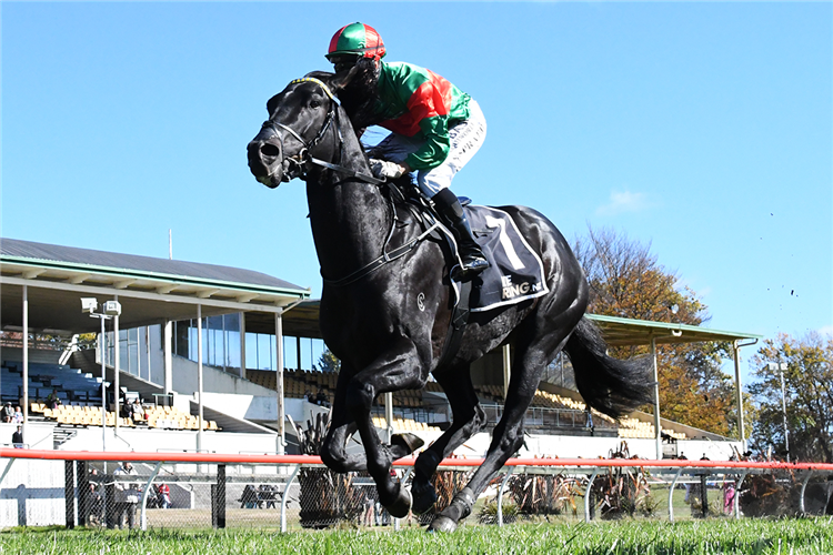 GERIATRIX winning the VAN DYKS 3YO