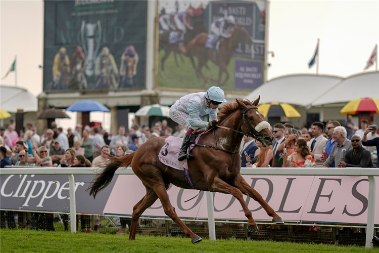 GIAVELLOTTO winning the Yorkshire Cup Stakes at York in England.