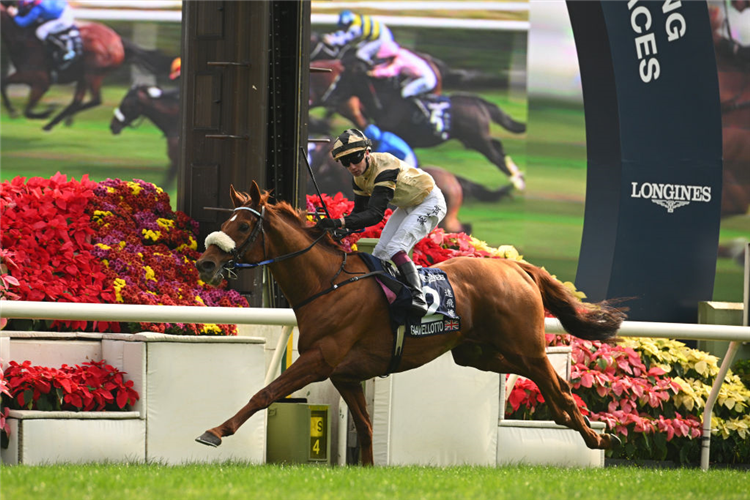 GIAVELLOTTO winning the Hong Kong Vase at Sha Tin in Hong Kong.