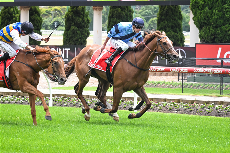 GLENS TOP CAT winning the Bottle Stop Handicap BM70 Handicap at Moonee Valley in Australia.