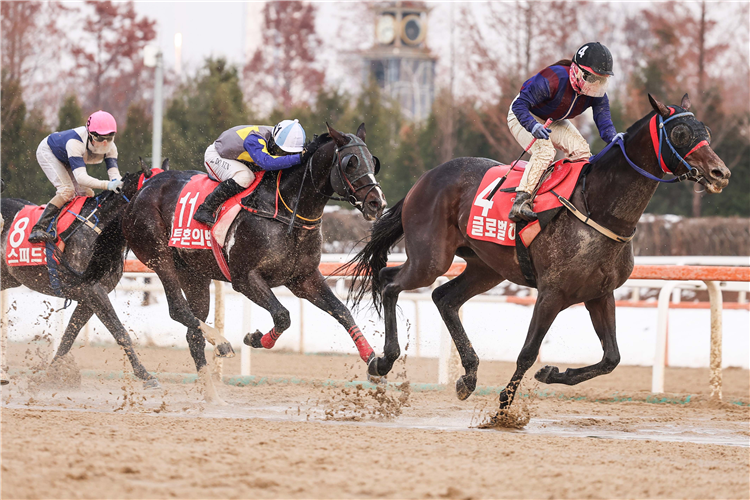 GLOBAL HIT winning the Class Open Weight for Age