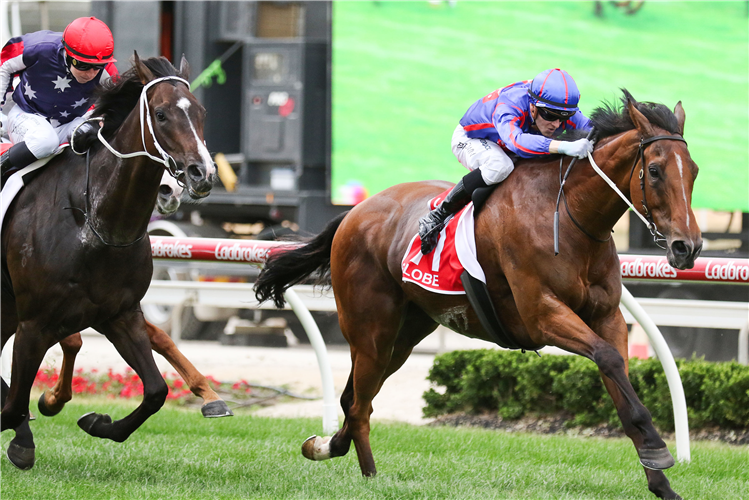 GLOBE winning the Ladbrokes Cranbourne Cup