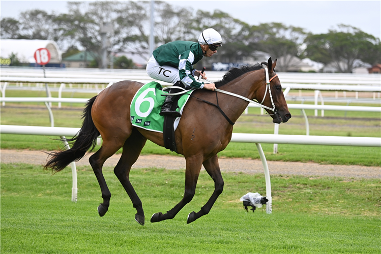 <p>Last year’s Classic sale-topper Gobi Desert won last Saturday’s Max Lees Classic at Newcastle.</p>