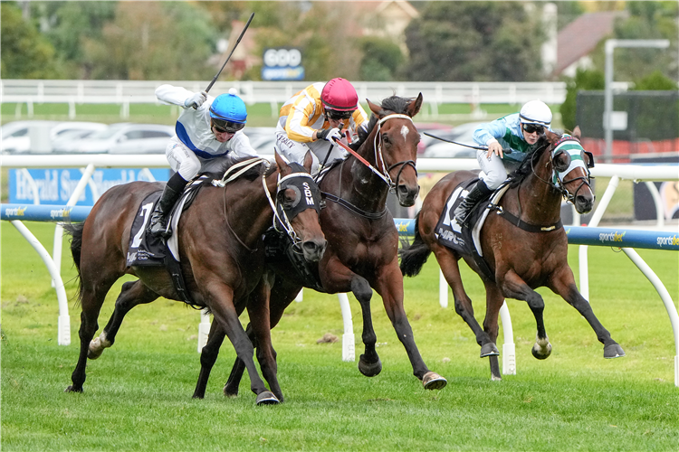 GOLD WOLF (centre, red cap) winning the Galilee Series Final at Caulfield in Australia.