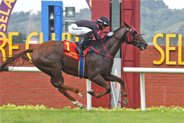 GOLDEN PEGASUS winning the Jul 21 2024 Selangor Meeting Race 8 (711)