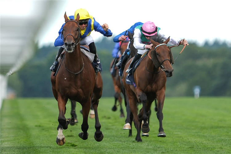 GOLIATH (yellow cap) winning the King George VI And Queen Elizabeth Stakes at Ascot in England.