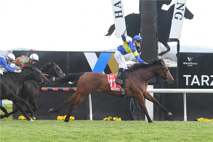 GRAIL SEEKER winning the WESTBURY STUD TARZINO TROPHY