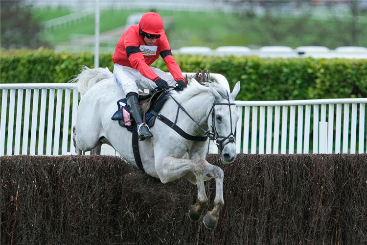 GREY DAWNING winning the Turners Novices' Chase at Cheltenham in England.