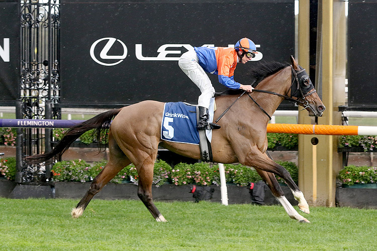 GRINZINGER BELLE winning the Furphy Let's Elope Stakes