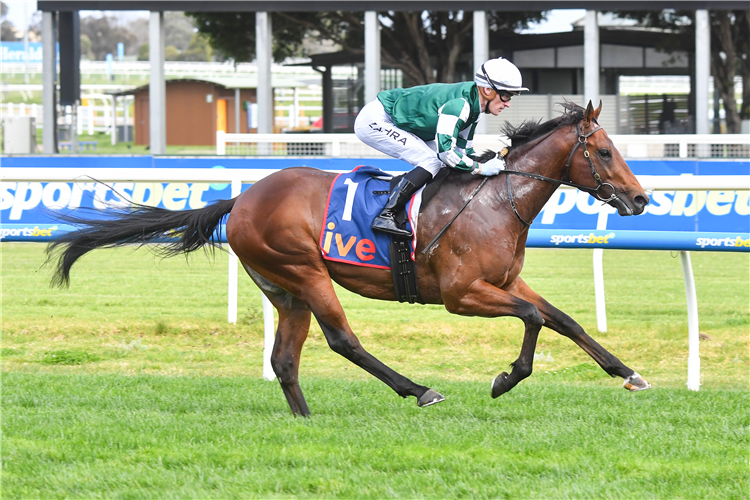 GROWING EMPIRE winning the ive > McNeil Stakes at Caulfield in Australia.