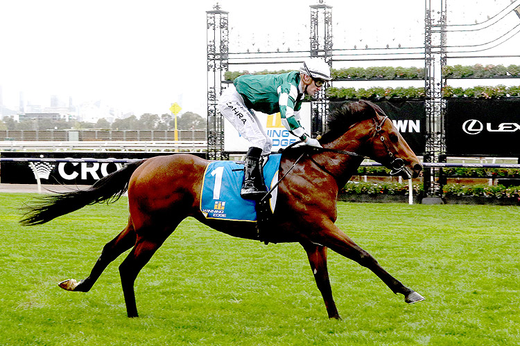 GROWING EMPIRE winning the Winning Edge Presentations Poseidon Stakes