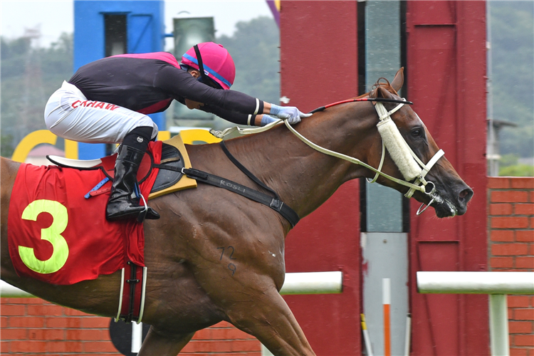 GULF EAGLE winning the SELANGOR Race 5