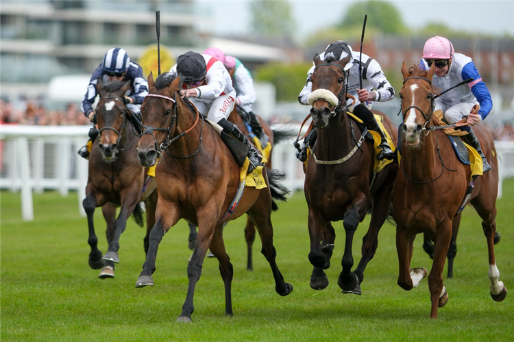 HAMISH (black cap) winning the Surprise Stakes at Newbury in England.