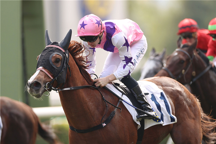 HARRY'S HERO winning the LUKFOOK JEWELLERY WEDDING COLLECTION HANDICAP