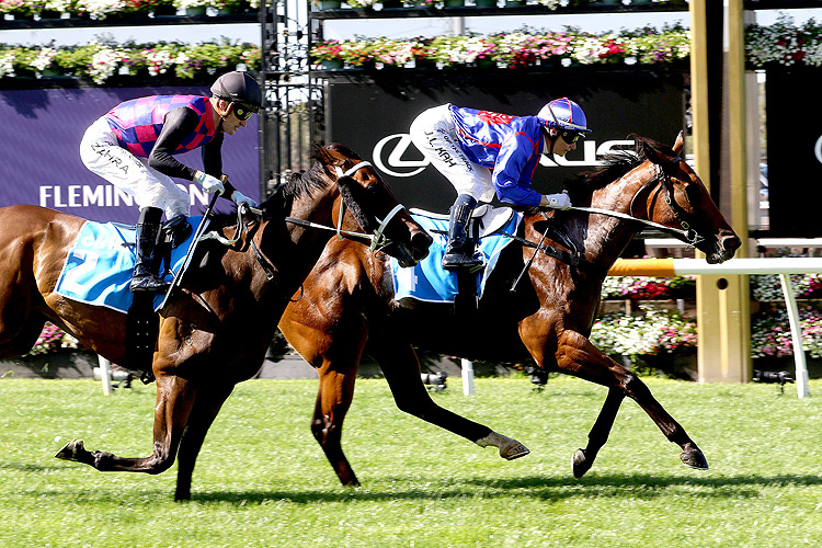 Hedged has caught Glenn Ingram's eye.