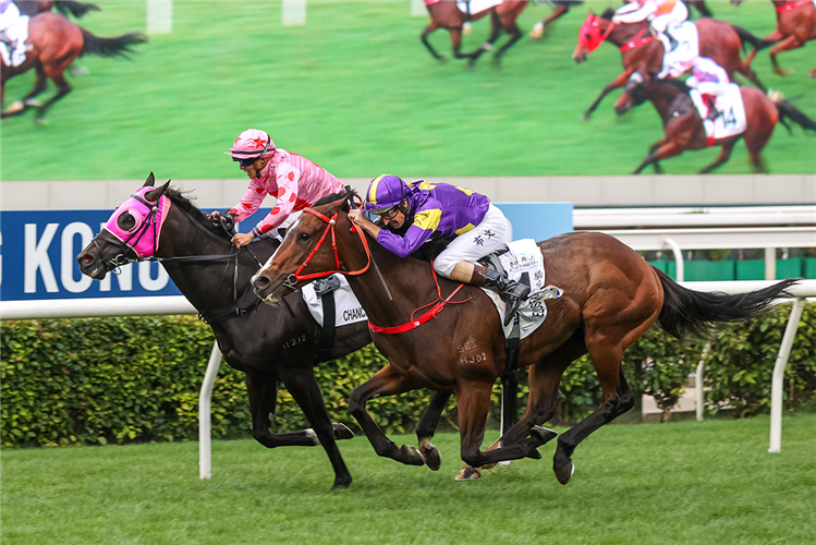 HELIOS EXPRESS (purple and yellow silks) winning the THE HONG KONG CLASSIC CUP