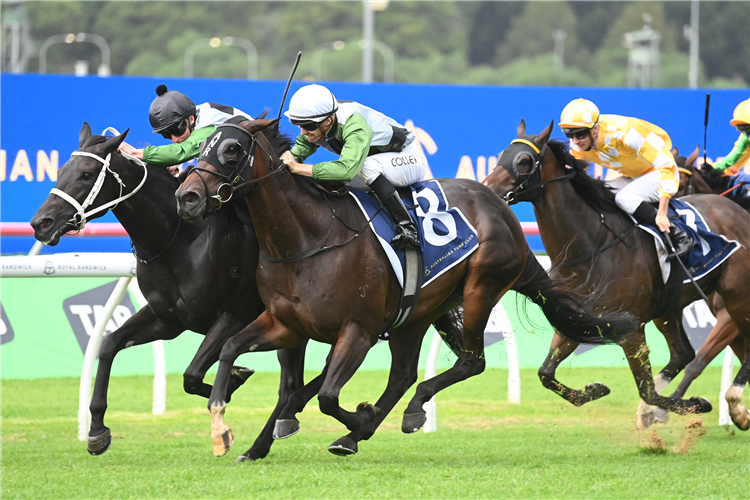 HELL HATH NO FURY winning the Proven Thoroughbreds Guy Walter Stakes at Randwick in Australia