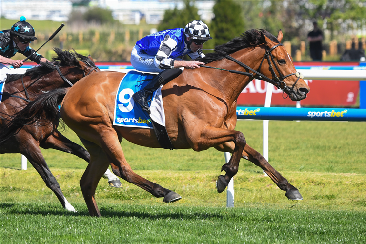 HERMAN HESSE winning the Sportsbet Herbert Power Stakes at Caulfield in Australia.