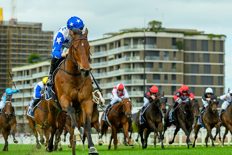 HIDDEN WEALTH winning the EDWARD STREET BENCHMARK 85 Handicap