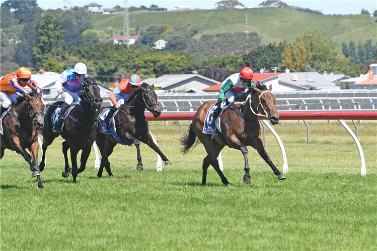 HITABELL winning the THE O'LEARYS FILLIES STAKES