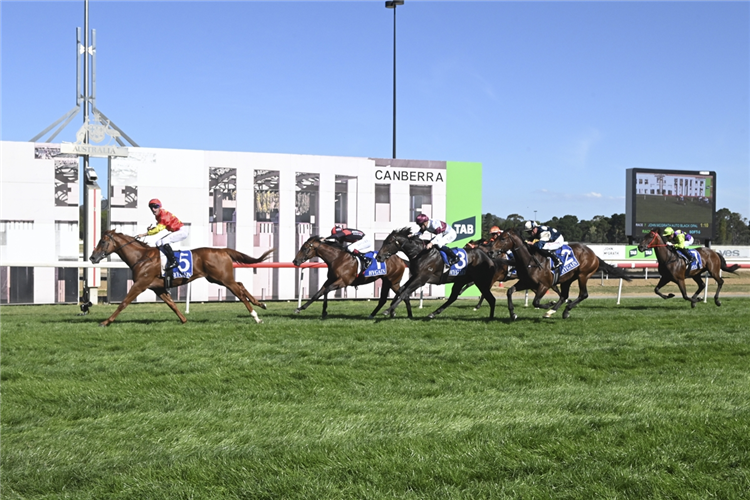HOLMES A COURT winning the John Mcgrath Auto Group Black Opal Stakes