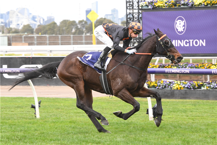 HORRIFYING winning the Inside Run Trophy at Flemington in Australia.