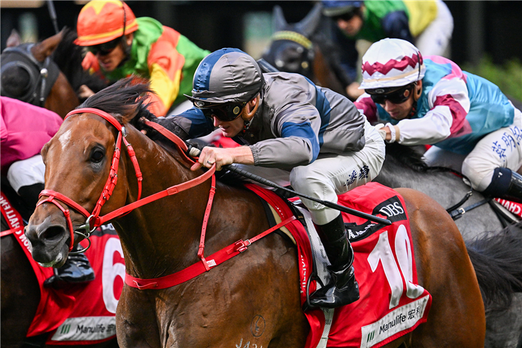 HORSEPOWER winning the ZHUHAI HANDICAP